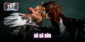 da-ga-don (1)