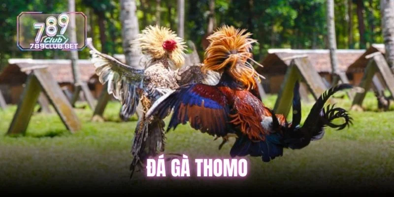 da-ga-thomo