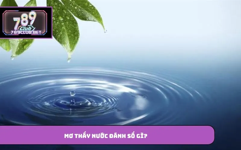 Mơ thấy nước đánh số gì?